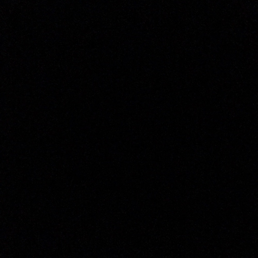 Meet your Posher, Bella